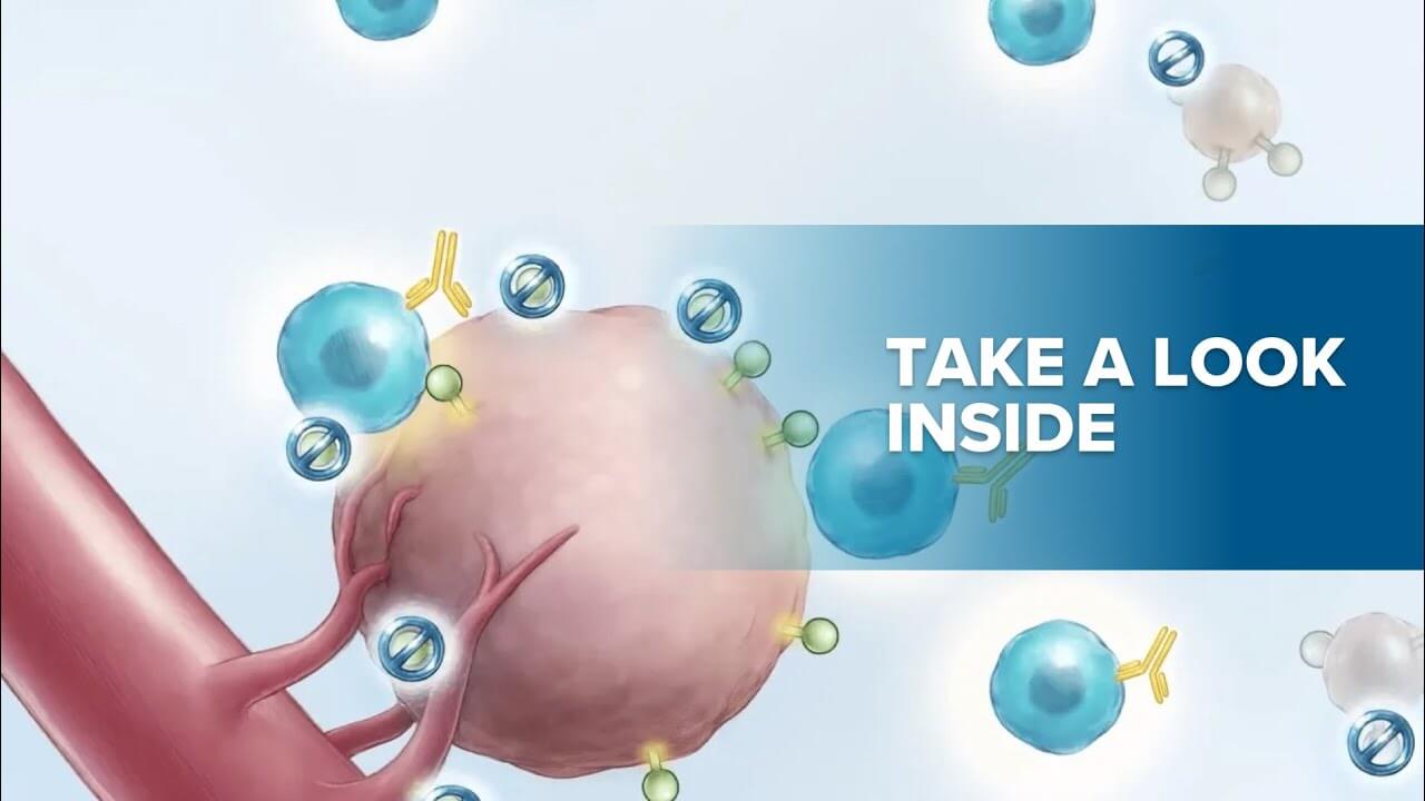 How CABOMETYX May Work