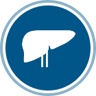 CABOMETYX Liver Cancer icon (HCC)