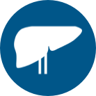 CABOMETYX Liver Cancer icon (HCC)