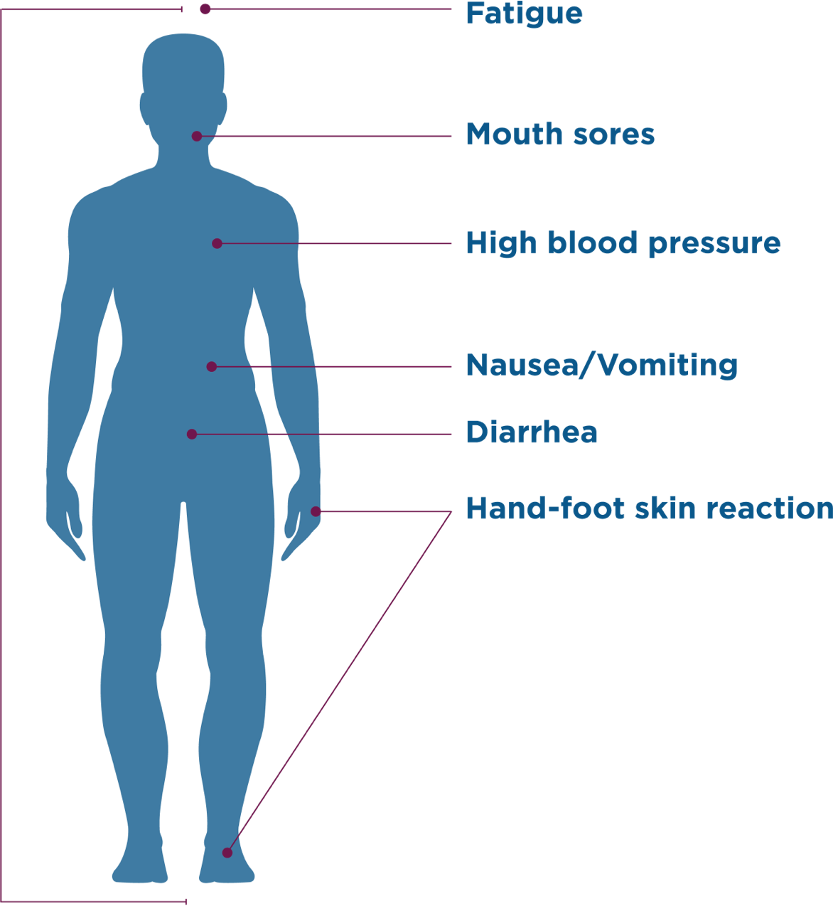 CABOMETYX Body chart