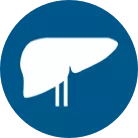 CABOMETYX Liver Cancer icon (HCC)